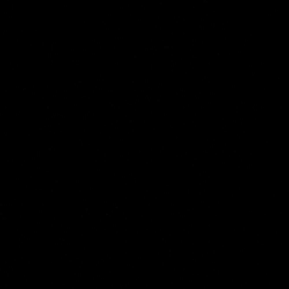 Meet your Posher, Toni